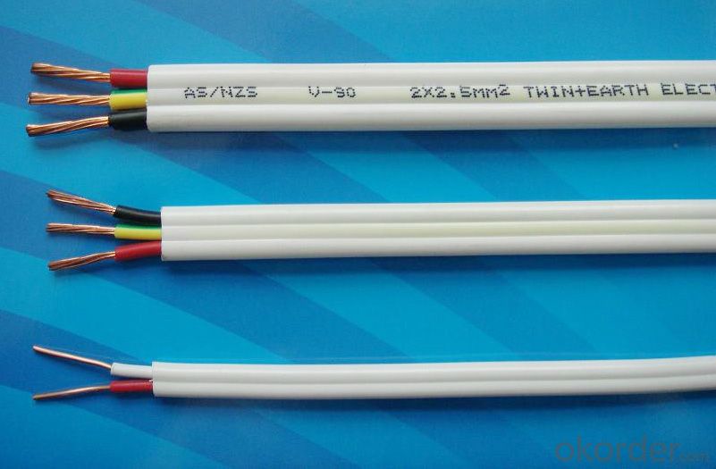 Flat TPS Cable PVC 450/750V 2C + E Copper AS/NZS 5000.2