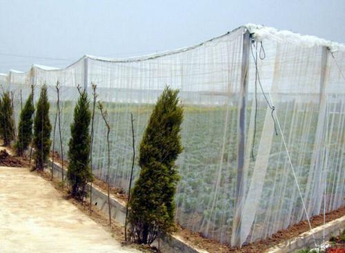 Anti Insect Net Mosquito Net System 1