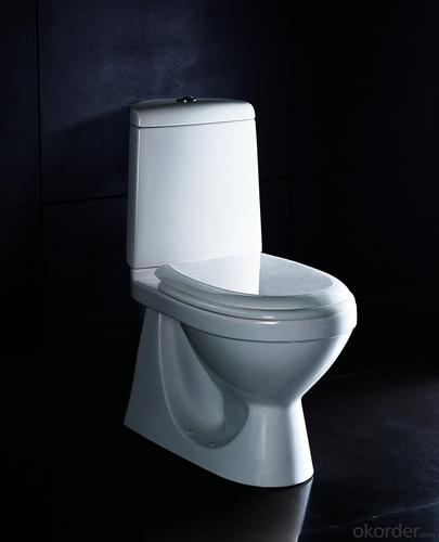 Two-Piece Toilet System 1