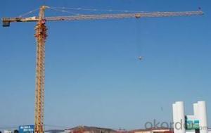 YONGMAO ST455 tower crane System 1