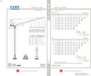 YONGMAO STL230 tower crane