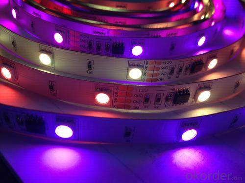 RGB IP20 Led Strip Light System 1