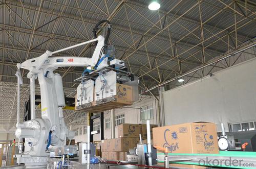 Automatic Robot Palletizer Machine System 1