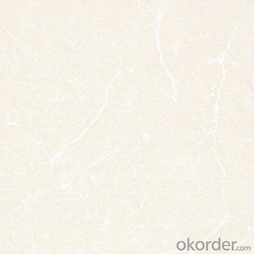 Polished Porcelain Tile Soluble Salt 500 Serie CMAX5029 System 1