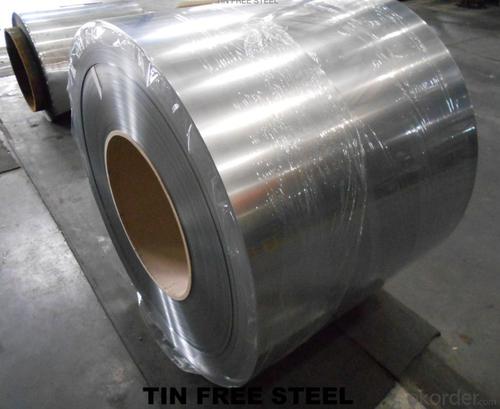 tin free steel sheet System 1