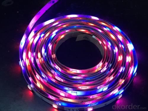 RGB Color Led strip waterproof System 1