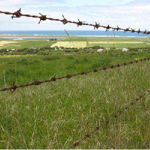 Barbed Wire Fence High Strength