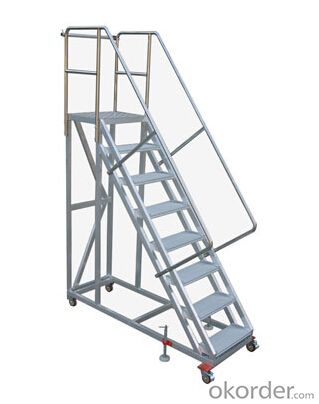 Movable ardal Step ladder DGT250-10 System 1