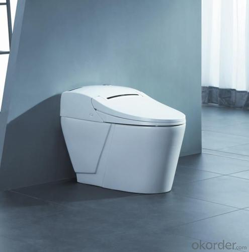 Digital Toilet System 1