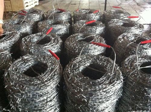 SA Market Hot Dipped Galvanzied Barbed Wire 10kg per Roll 1kg Per Roll System 1