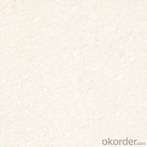 Polished Porcelain Tile Soluble Salt 500 Serie CMAX5026 System 1