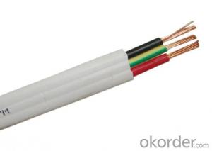 Flat TPS Cable PVC 450/750V 2C + E Copper AS/NZS 5000.2