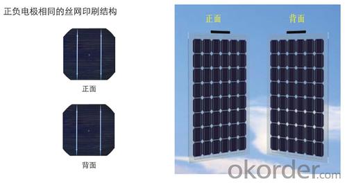 Renogy 320W Double Light Solar Panel System 1