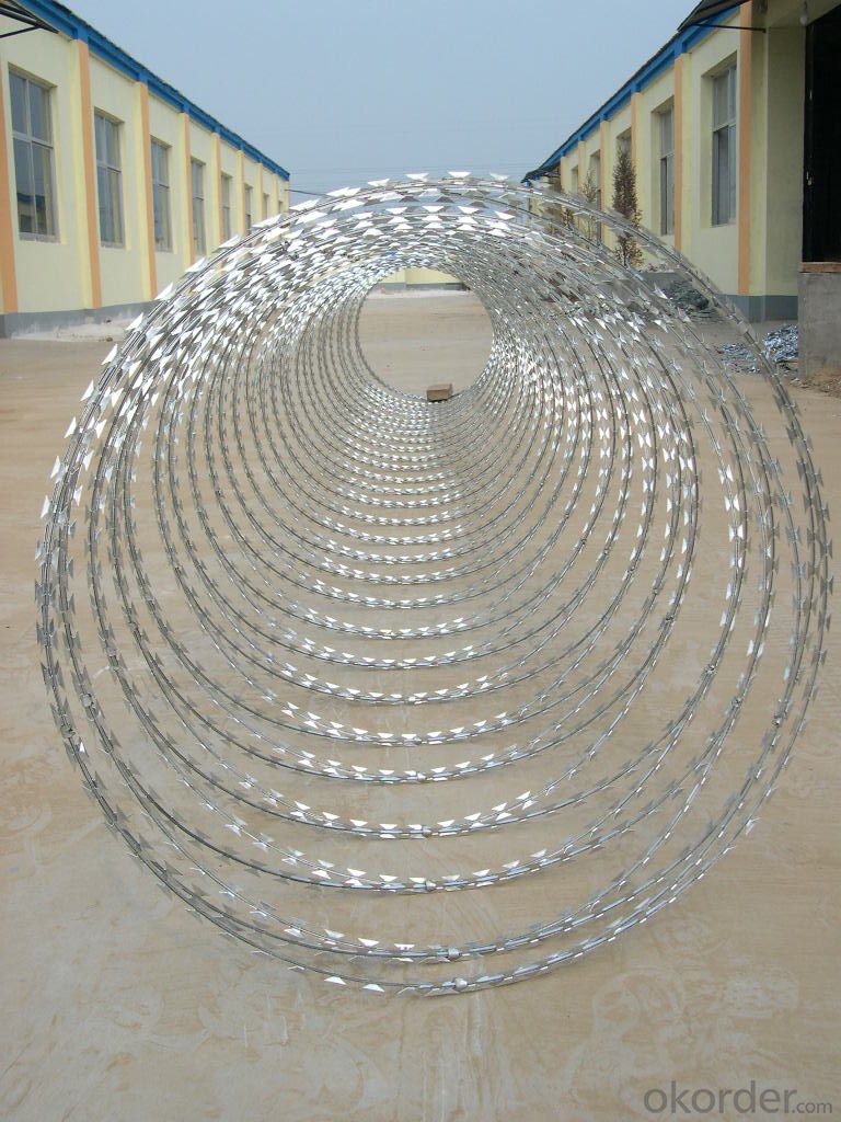 Galvanized Razor Barbed Wire With Hot Dipped Galvanized Wire