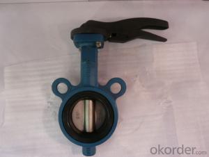 Ductile Iron Lug Type Butterfly Valve System 1