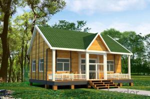 New Designed  wooden house