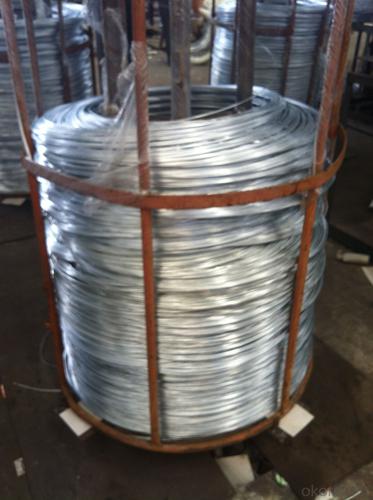 Lightly Galvanised Iron Wire System 1