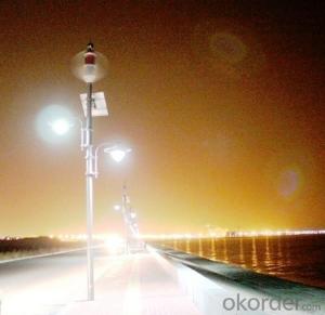 Wind Solar Hybrid Street Light System with Energy Saving LED Lamp