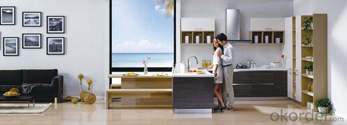 Economical and Practical Project Kitchen Cabinets Melamine System 1