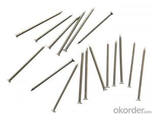 Polished Common Iron Nail System 1