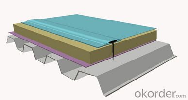DW flexible waterproof roof system