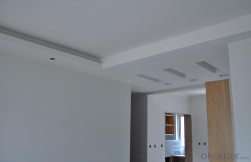 Ceiling Gypsum Board System 1