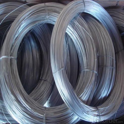 Galvanized Iron Wire For Hexagonal Wire Mesh Panel System 1