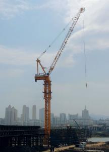 YONGMAO STL1460C tower crane System 1