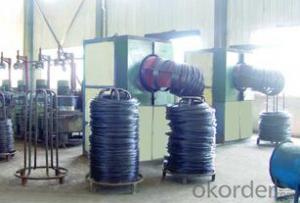 BLACK ANNEALED WIRE System 1