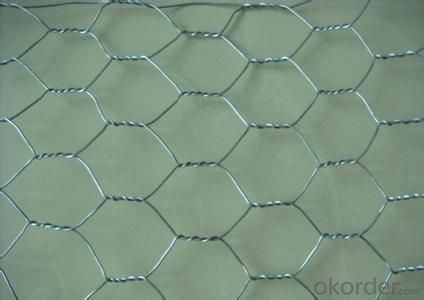PVC Galvanized Hexagonal Wire Mesh
