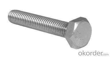 stainless steel hex bolt and hex nut