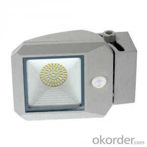 LED Wall Lighting 17W PIR Sensor
