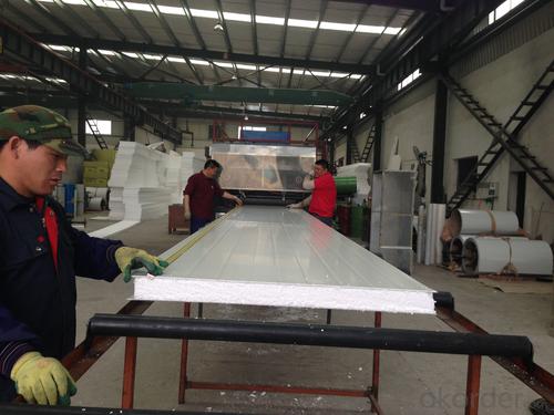 eps foam sandwich panels System 1