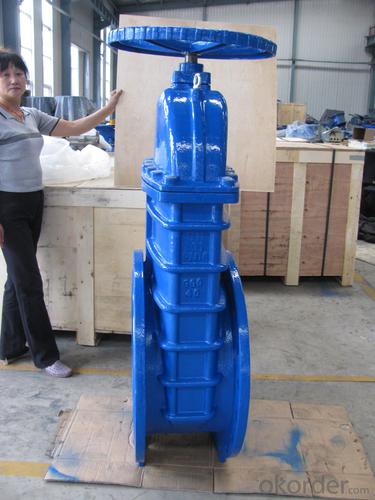 Rising Stem Solid Wedge Gate Valve F4 System 1