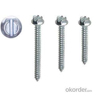 High Quality Screws Pan Head Self Tapping Screws with Low Price