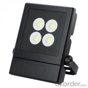 LED Flood Lighting 110W System 1