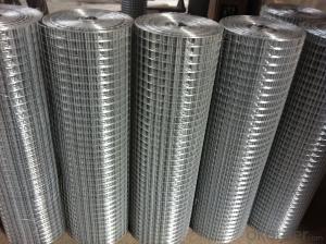 Hot Dipped Galvanized After Welded Mesh