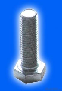 stainless steel bolt and nut
