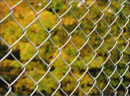 High Quality Glavanized Chain Link Fence System 1