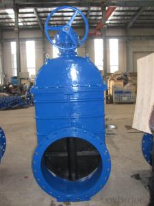 Non-rising Stem Resilient Seated Gate Valve D800 System 1