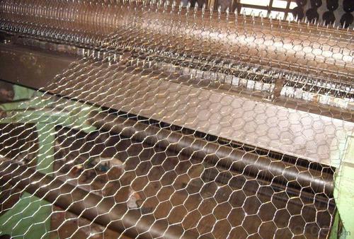 Electro Galvanized Hexagonal Wire Mesh System 1