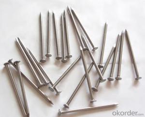 High Quality Common Iron Nails