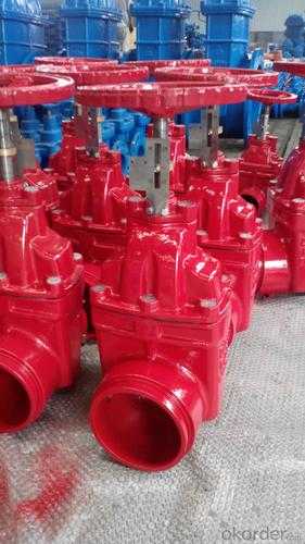 Rising Stem Solid Wedge Gate Valve System 1