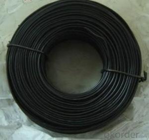 Black Annealed Wire System 1