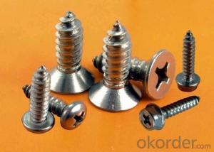 Phillips Pan Head Self Tapping Screws Manufacturer Factory Price