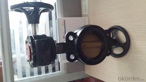 Concentric Butterfly Valve ISO5752 System 1