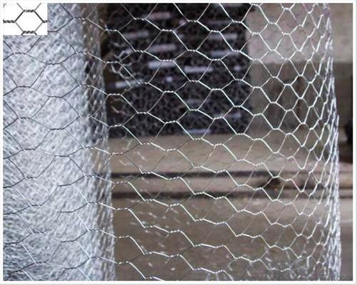 Hot Dipped Galvanized Hexagonal Wire Mesh System 1