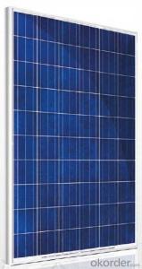 Polycrystalline Solar Module TSP-60 230-250W