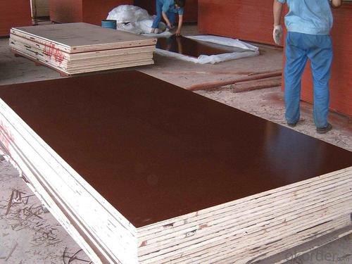 Film Faced Plywood(Brown,Formwork) System 1