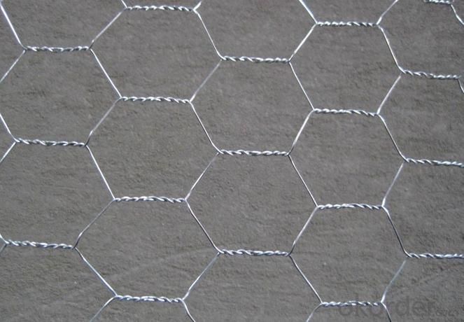 High Quality Galvanized Hexagonal Wire Mesh Panel